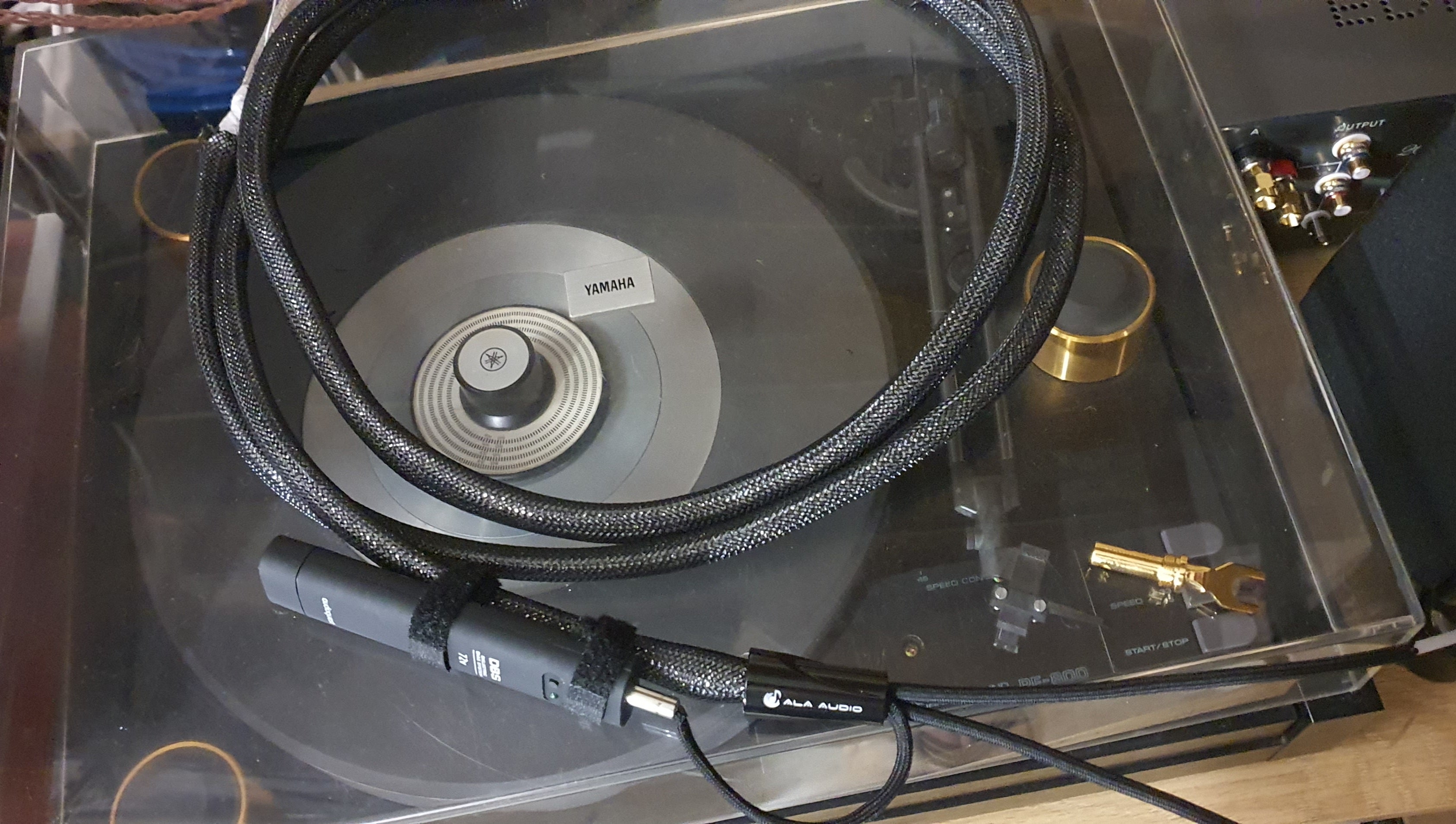 Speaker Cables