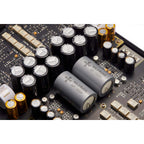 Holo Audio Bliss Headphone & Pre-amplifier