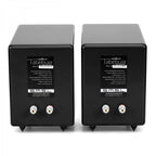 SMSL TABEBUIA WAVECOR Bookshelf Speakers 2 Way 100W 4Ω Black (Pair) - Audiophile Store